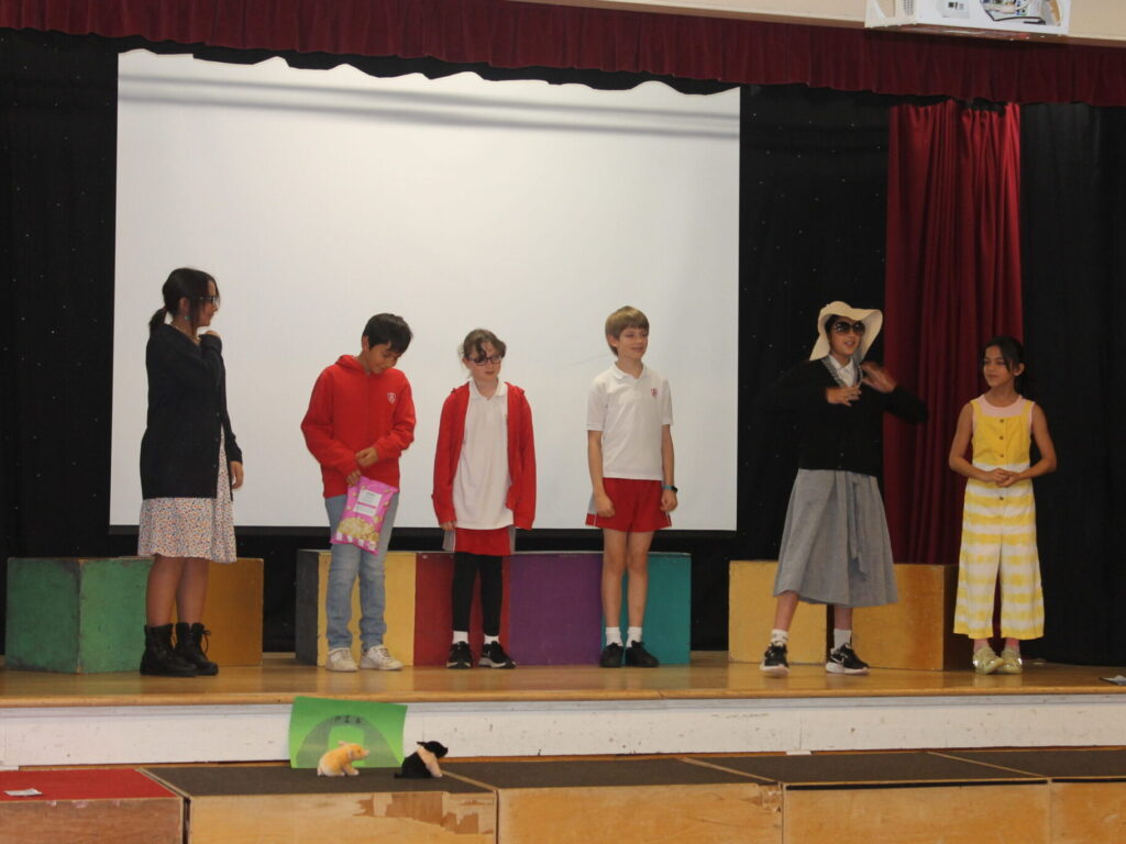 IMG 6588